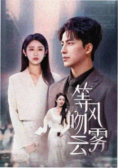 无声辩护 日韩电影高清资源